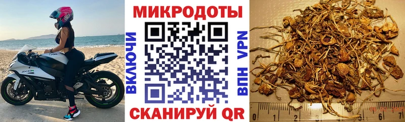 Псилоцибиновые грибы Cubensis  Циолковский 